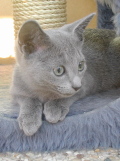 Mylha