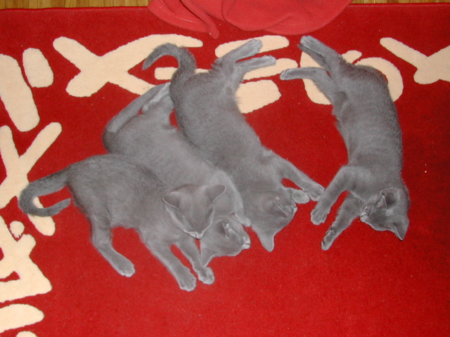 DSCN5111.JPG