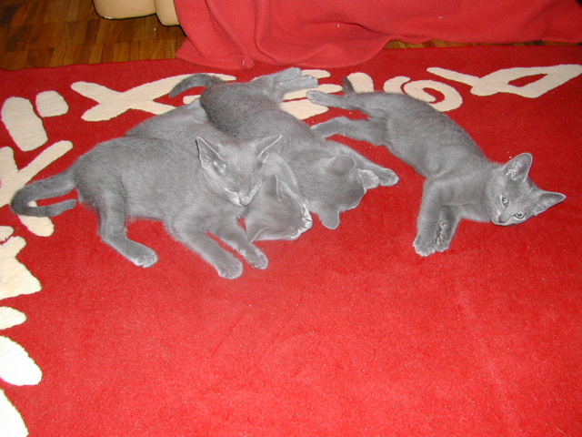 DSCN5112.JPG