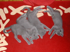 DSCN5111.JPG