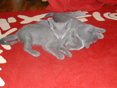 DSCN5114.JPG