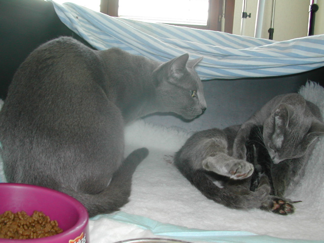 DSCN4855.JPG