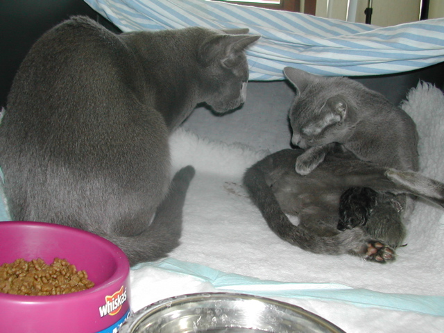 DSCN4856.JPG