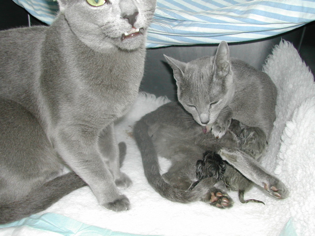 DSCN4857.JPG