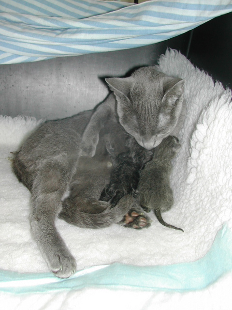 DSCN4858.JPG