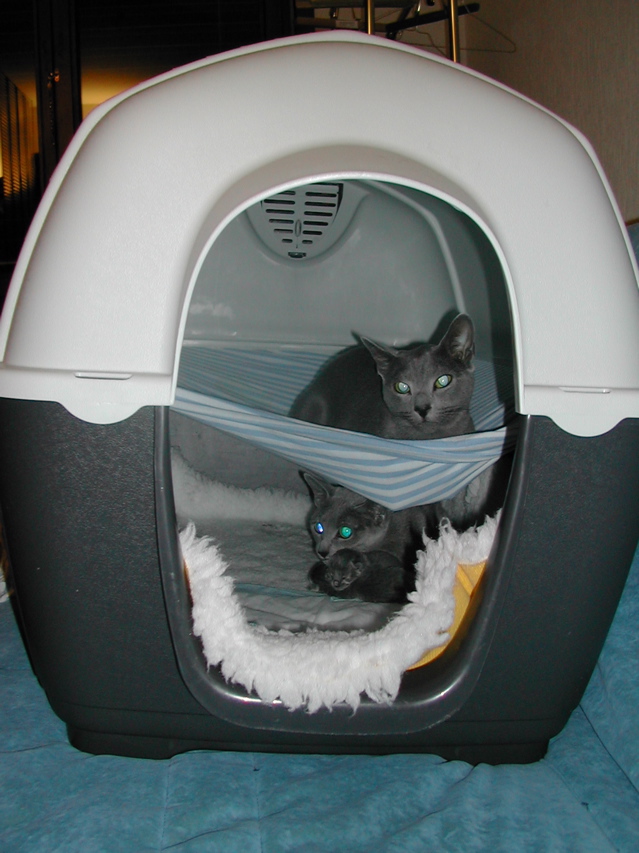 DSCN4900.JPG