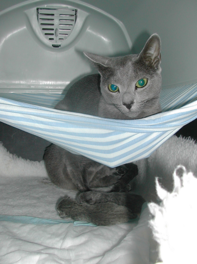 DSCN4902.JPG