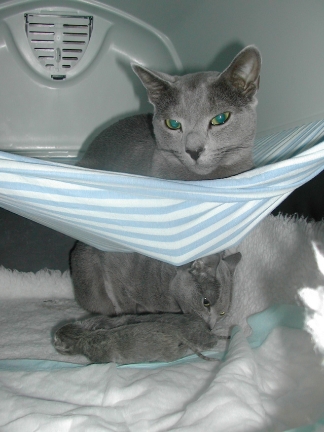 DSCN4903.JPG