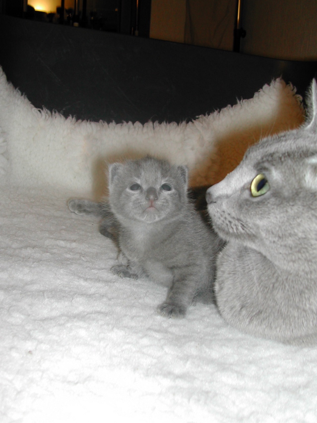 DSCN5016.JPG