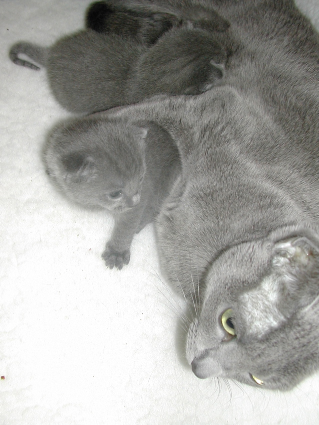 DSCN5017.JPG