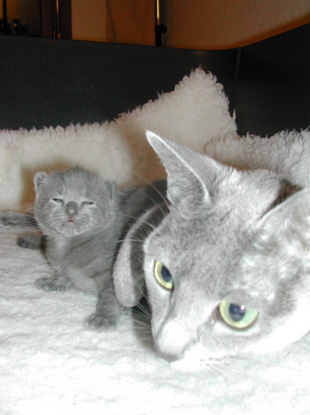 DSCN5019.JPG