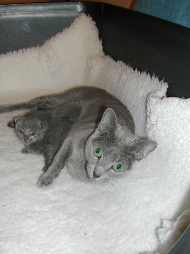 DSCN5020.JPG