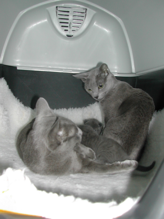 DSCN5033.JPG