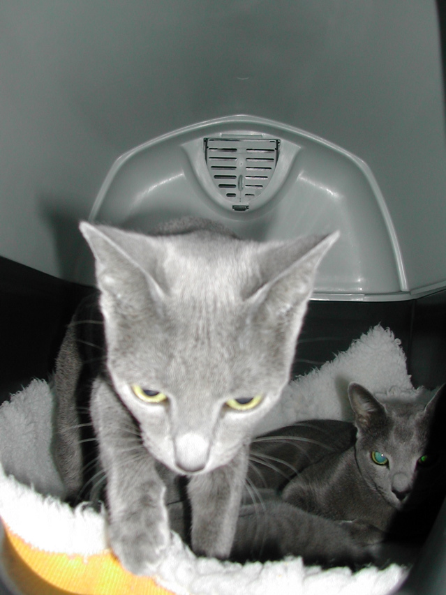 DSCN5030.JPG