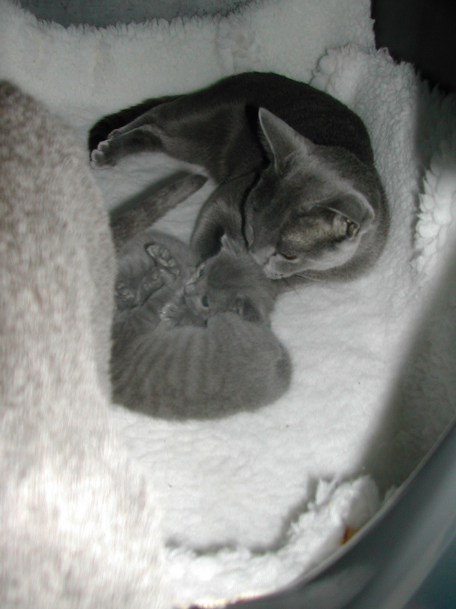 DSCN5031.JPG