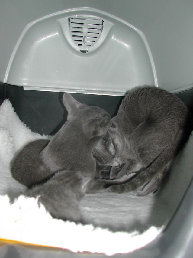 DSCN5032.JPG