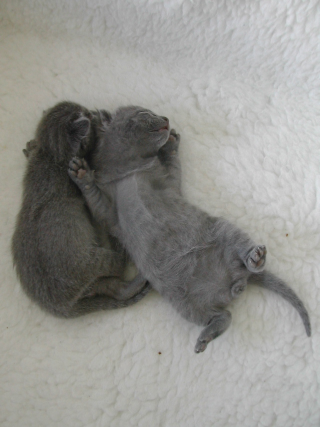 DSCN5022.JPG