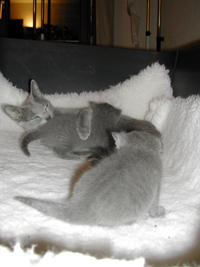 DSCN5096.JPG