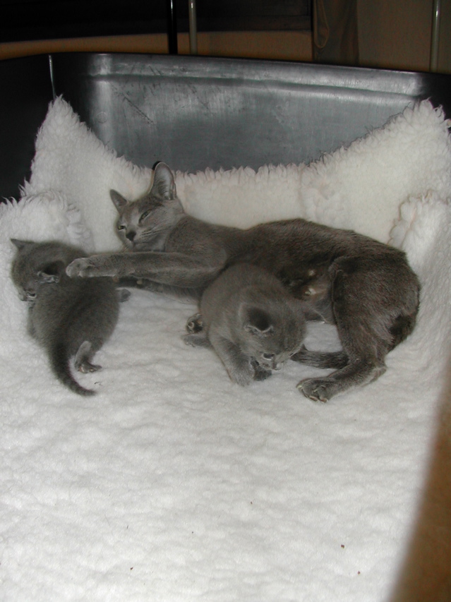 DSCN5097.JPG