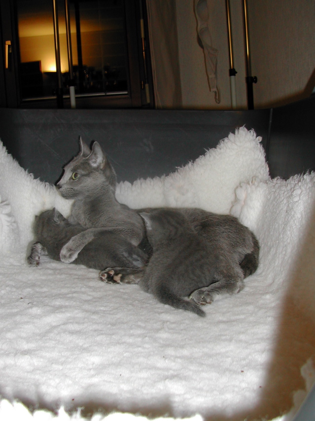 DSCN5100.JPG