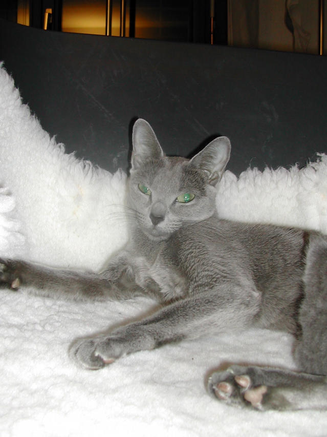DSCN5105.JPG