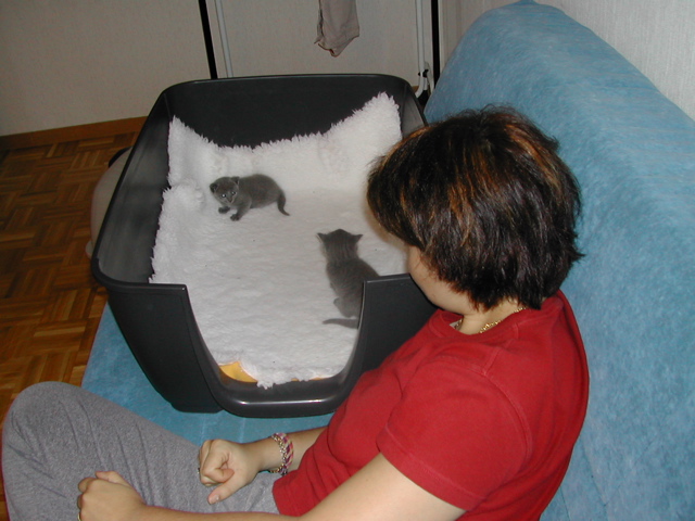 DSCN5120.JPG