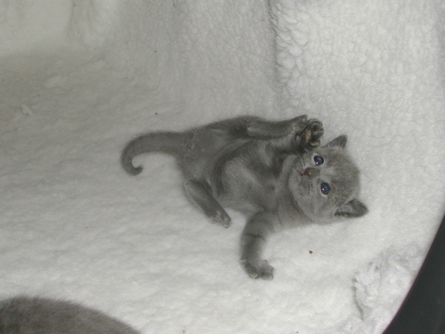 DSCN5122.JPG