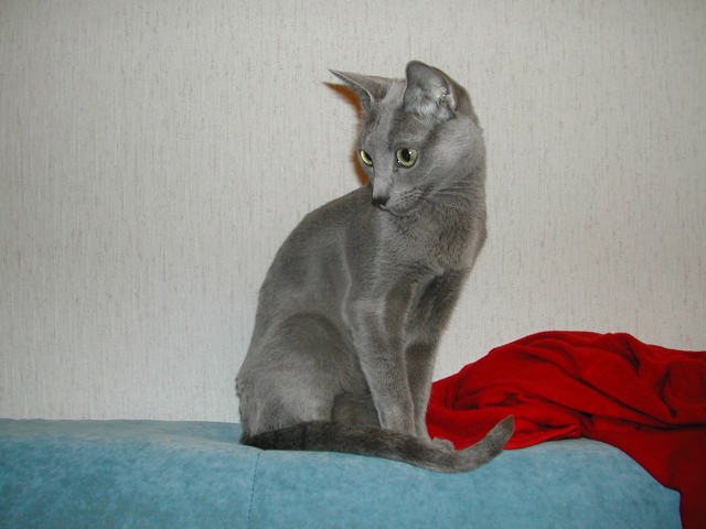 DSCN5125.JPG
