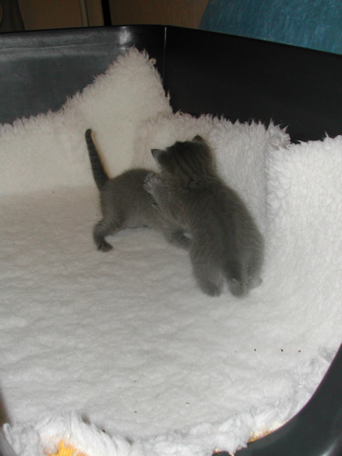 DSCN5123.JPG