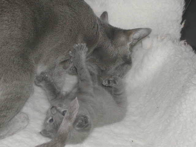 DSCN5126.JPG