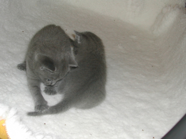DSCN5128.JPG