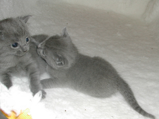DSCN5129.JPG