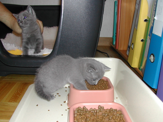 DSCN5216.JPG