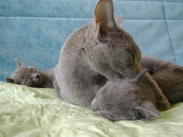 DSCN5309.JPG