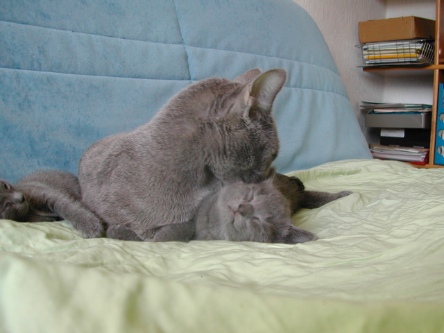 DSCN5304.JPG