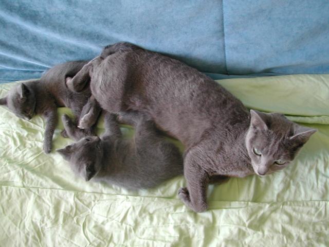 DSCN5298.JPG