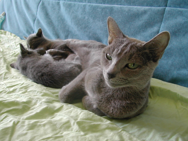 DSCN5302.JPG