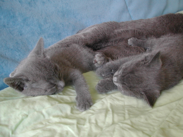 DSCN5303.JPG