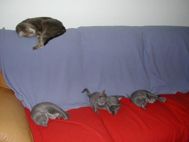 DSCN5473.JPG