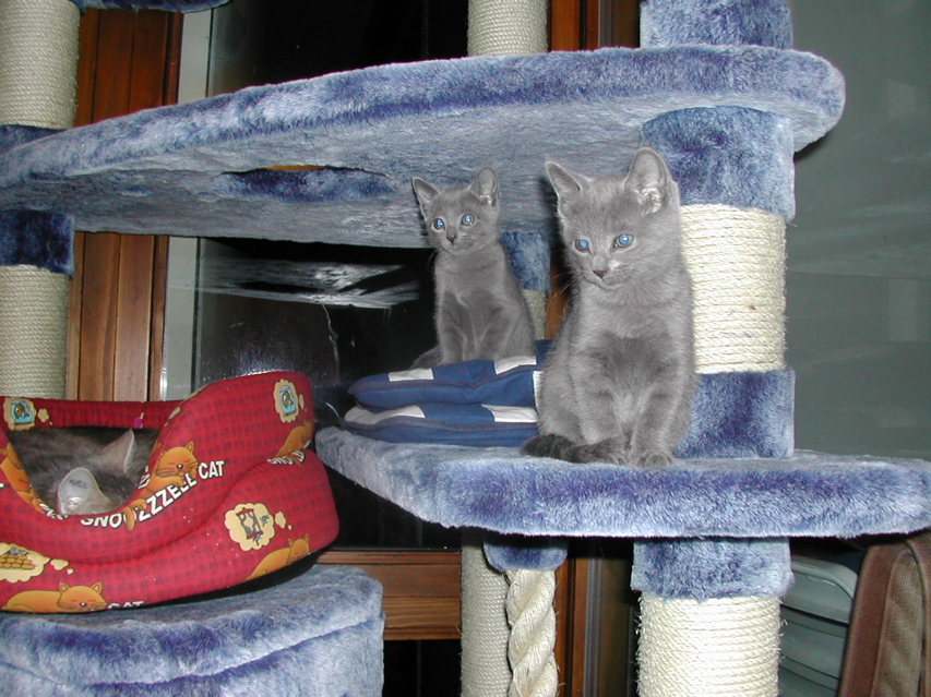 DSCN5583.JPG