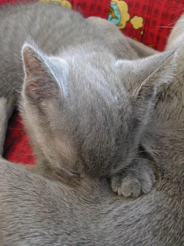 DSCN5599.JPG