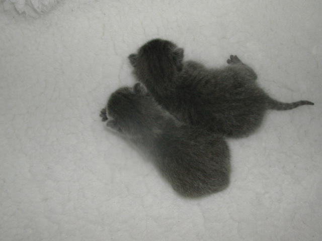 DSCN4919.JPG