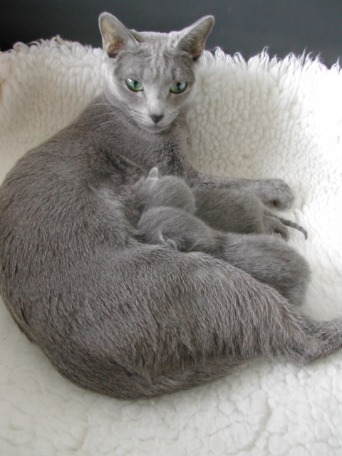 DSCN4927.JPG