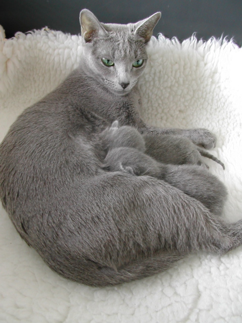 DSCN4929.JPG