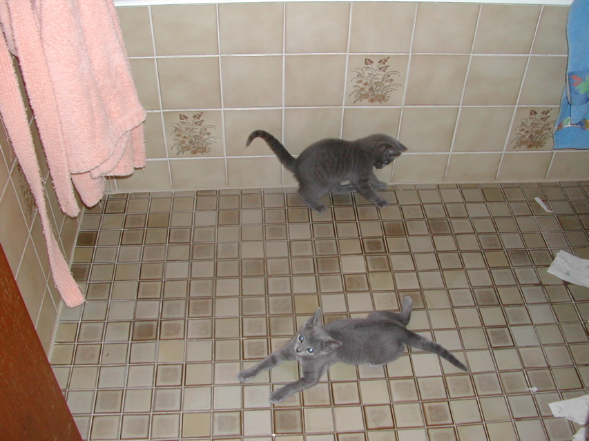 DSCN7677.JPG