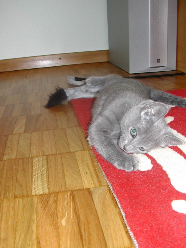 Mishka