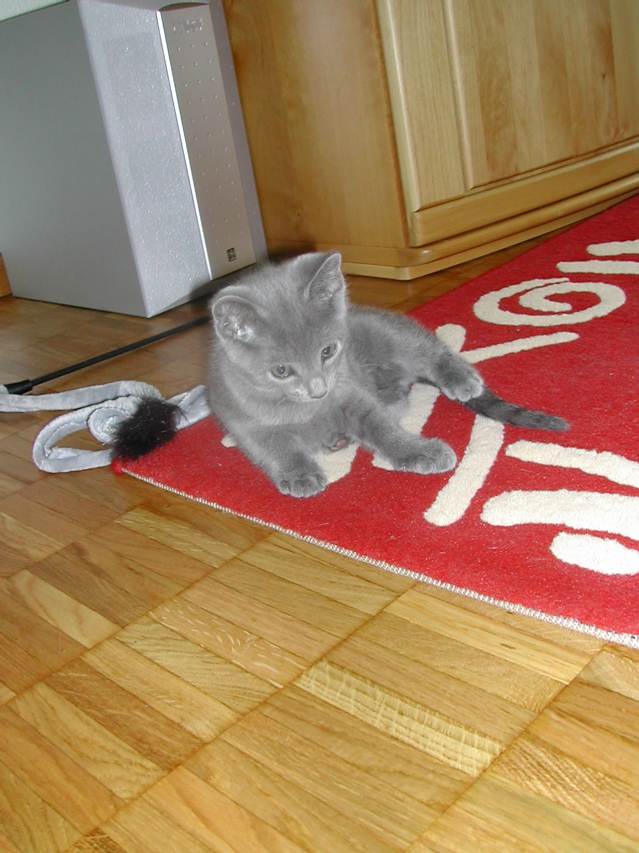 Mishka