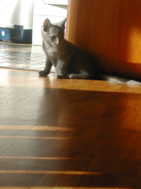 Mishka