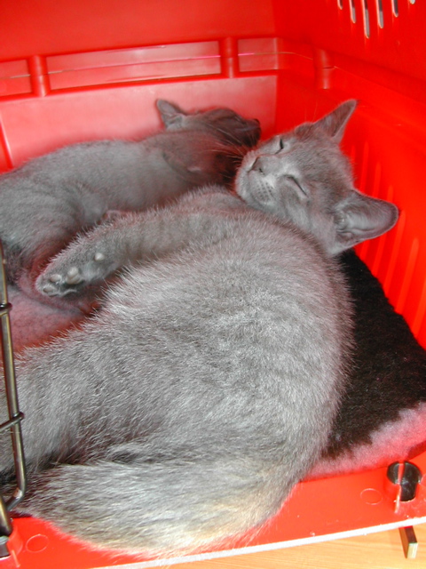 DSCN7685.JPG