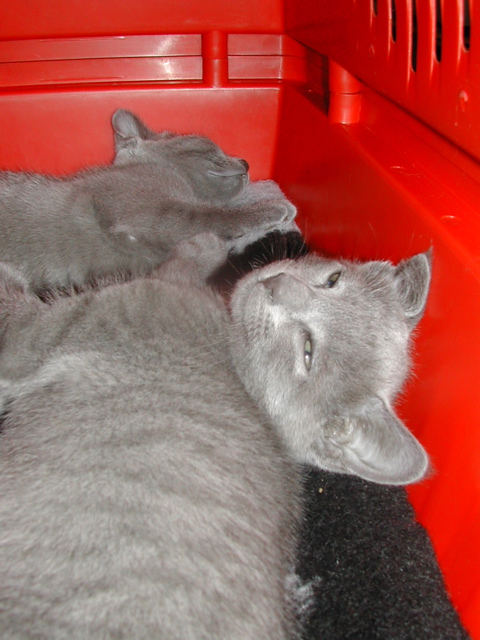 DSCN7686.JPG